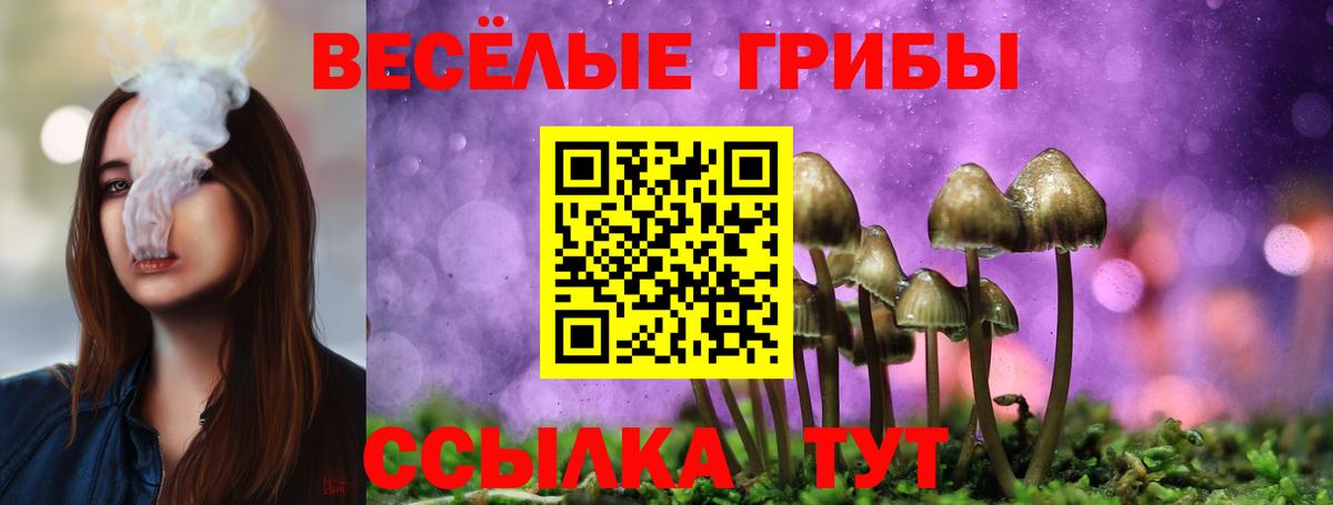 Псилоцибиновые грибы мухоморы Сухой Лог