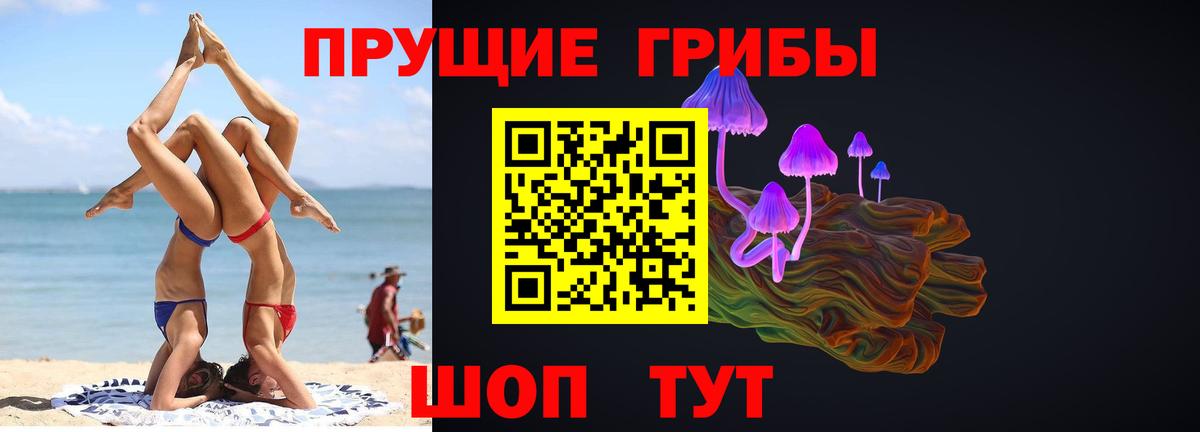 Псилоцибиновые грибы Cubensis  Вход с VPN  Сухой Лог 